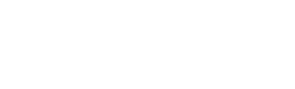SPPT_logo_2024_White